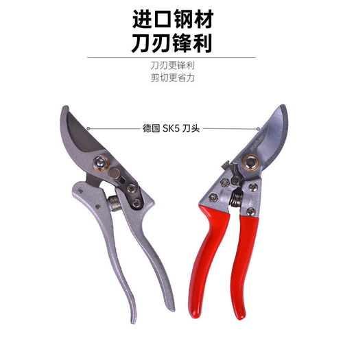 園藝園林修枝剪省力果樹剪輕松大力粗枝剪修花剪植物剪刀花卉工具