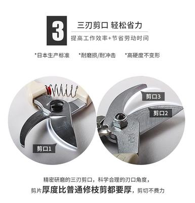 愛麗斯ARS 130DX 進(jìn)口修枝剪刀果樹剪 剪枝剪刀 樹剪 花枝剪
