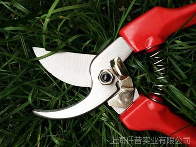 專業生產批發 園林剪刀 修枝剪 高枝剪 盆景剪 樹枝剪刀